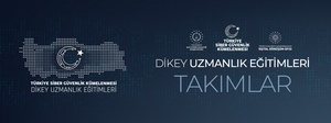 Türkiye CYBER SECURITY CLUSTER VERTICAL EXPERT TRAININGS TEAMS