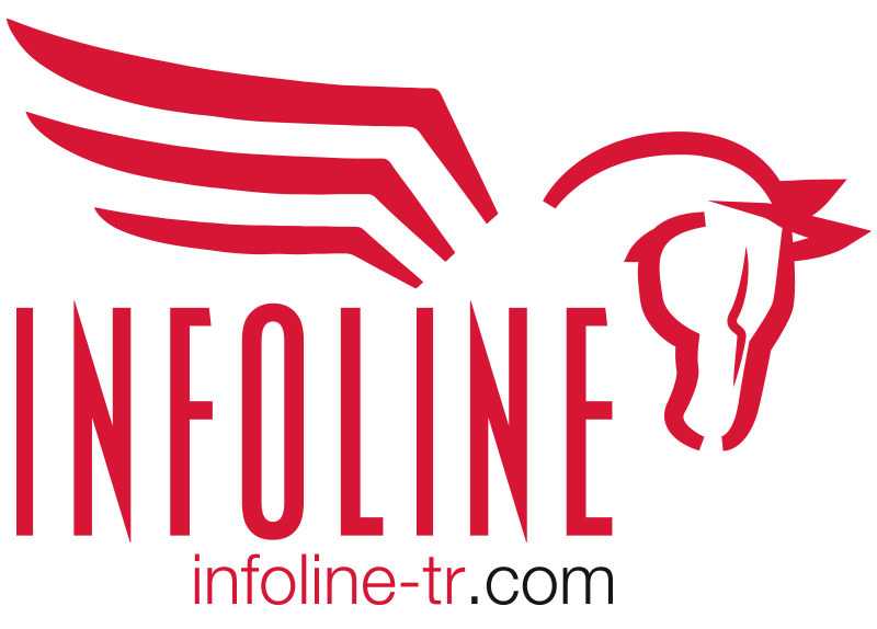 İNFOLİNE BİLGİ TEKNOLOJİLERİ TİCARET ANONİM ŞİRKETİ