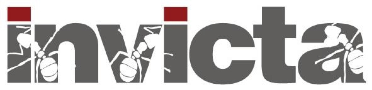 INVİCTA İNTERNET VERİ İLETİŞİMİ CHİP TEKNOLOJİLERİ AR-GE VE BİLGİ GÜVENLİĞİ LTD. ŞTİ.