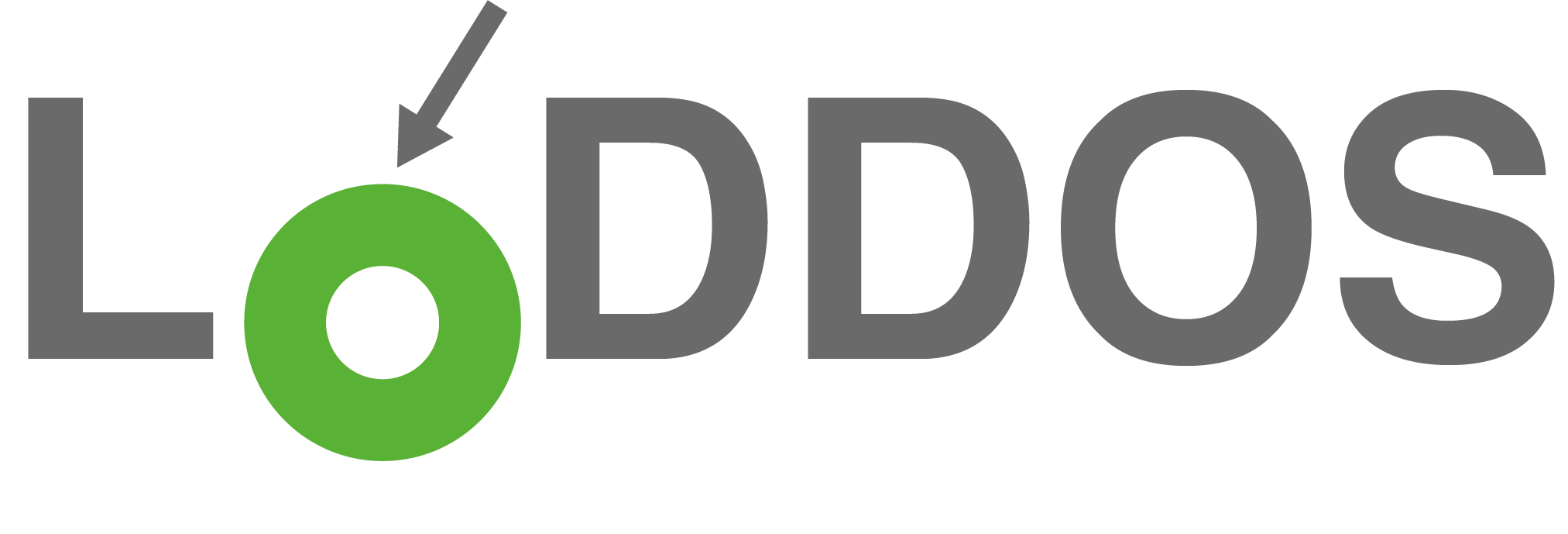 LODDOS SİBER GÜVENLİK ÇÖZÜMLERİ A.Ş