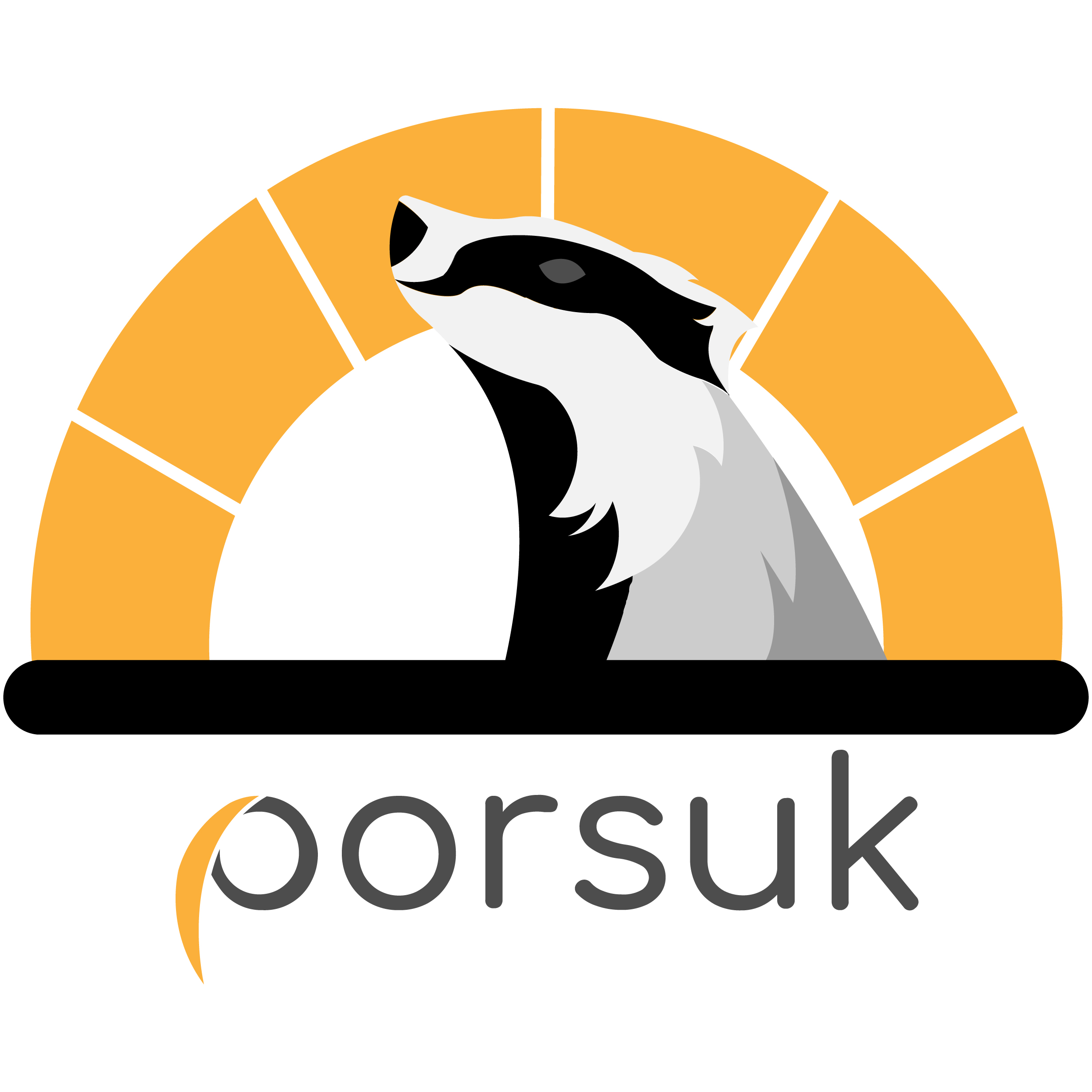 Porsuk Layer 2 Tünelleme Sistemi