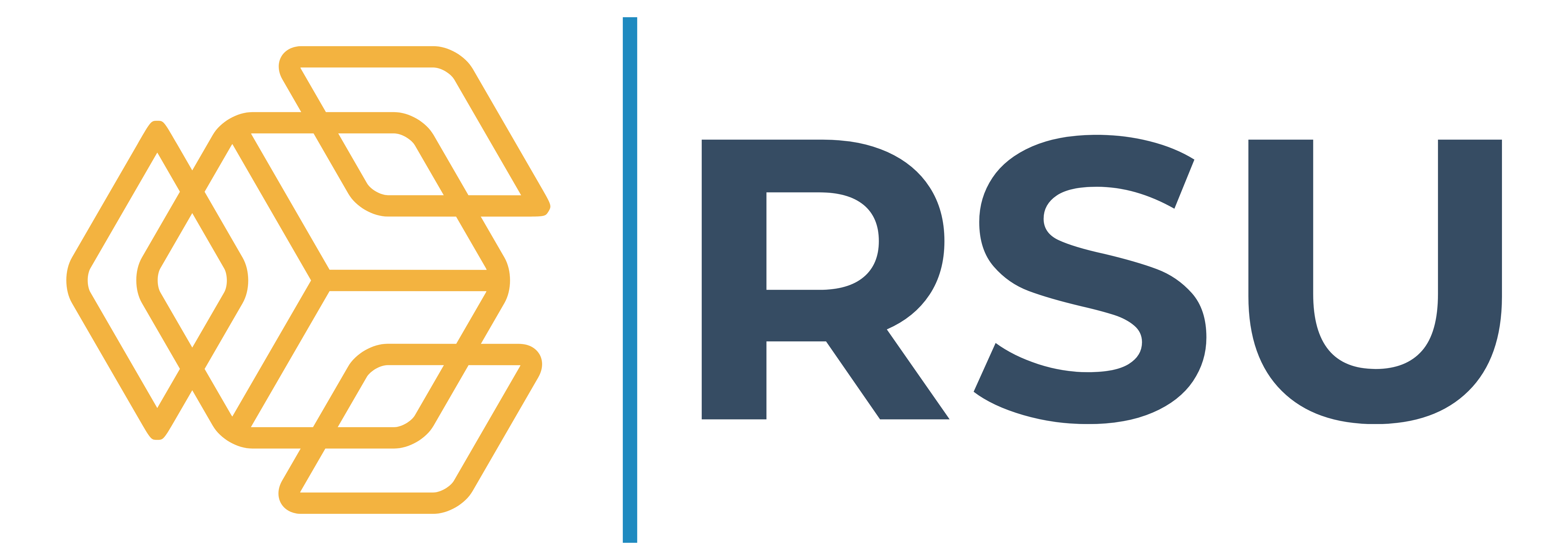 RSU BİLİŞİM VE DANIŞMANLIK HİZMETLERİ A.Ş.