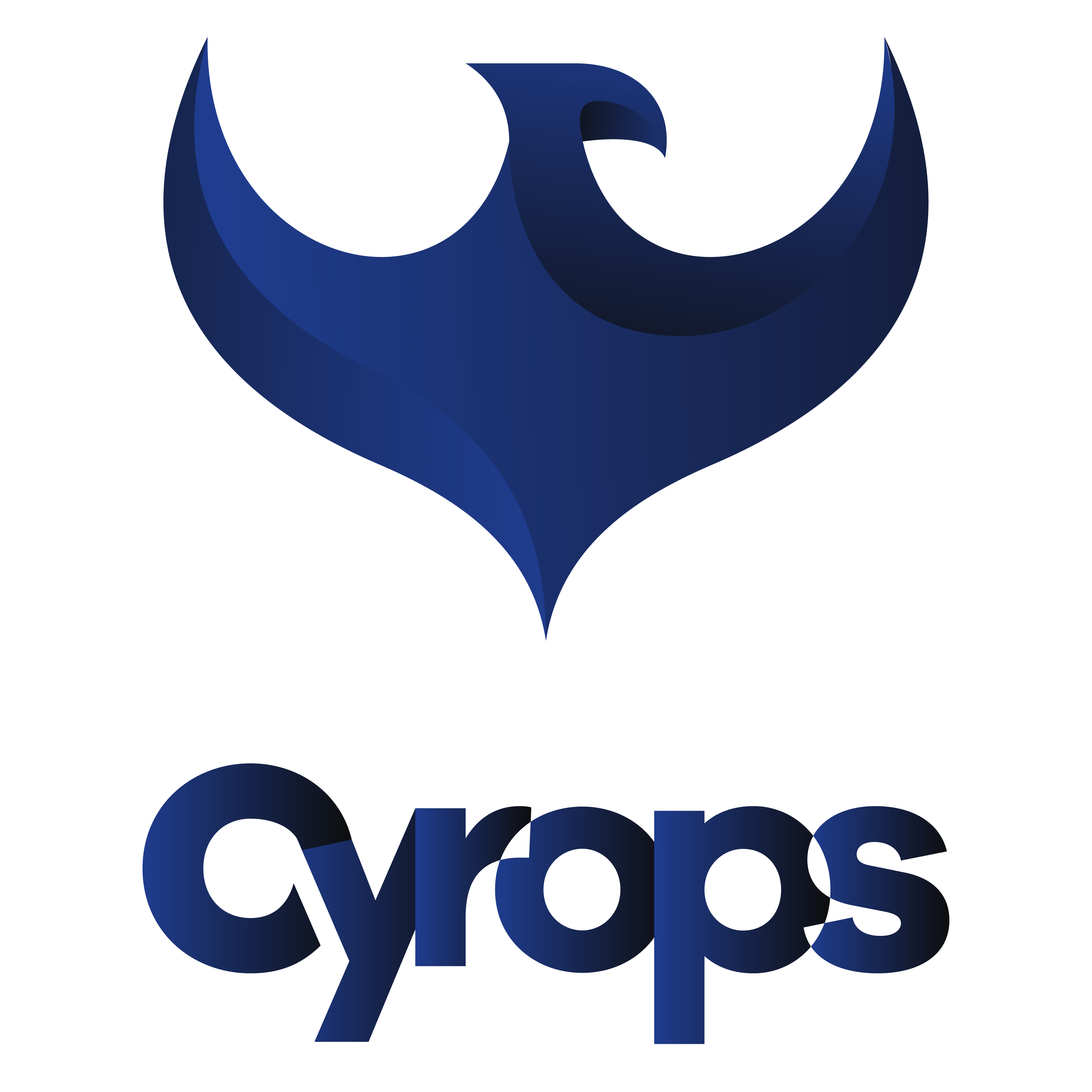 Web Uygulama Güvenliği