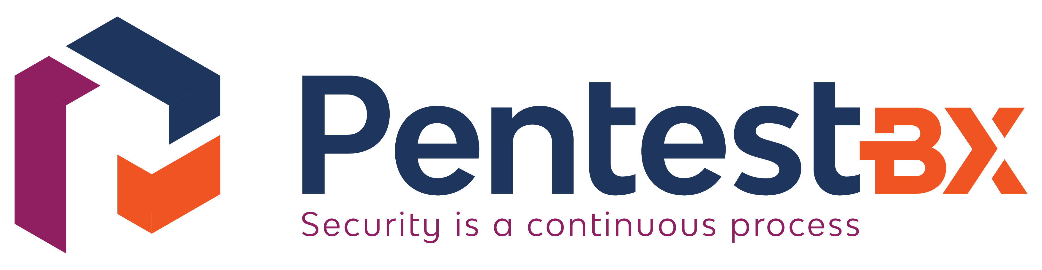 Continuous Cyber Security Vulnerability testing and management