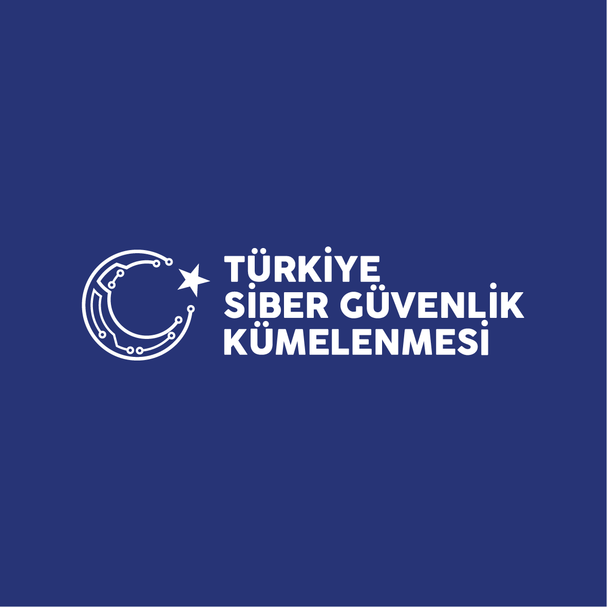 Renkli Kullanım