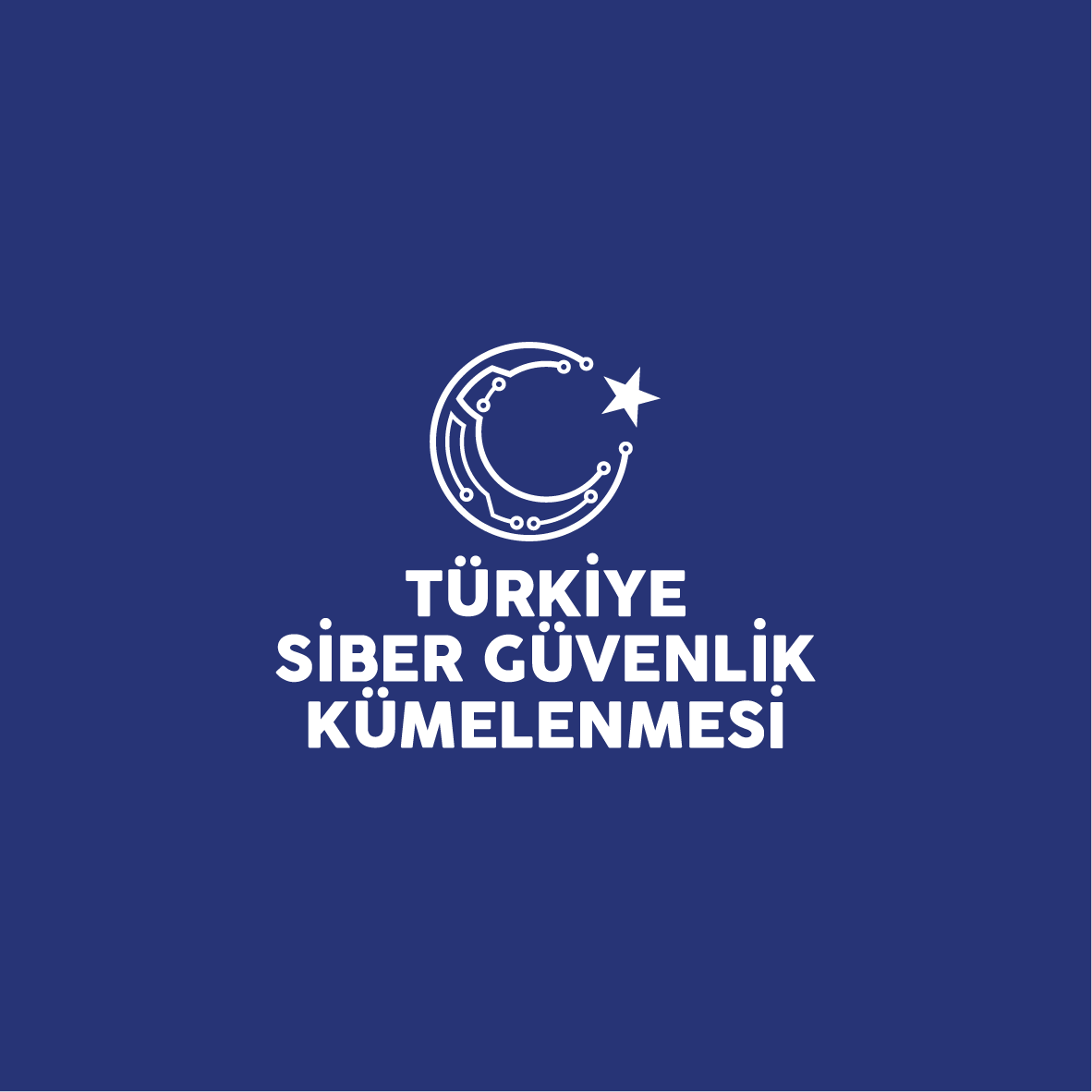 Renkli Kullanım